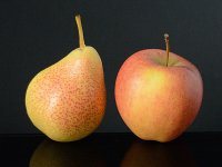 Manche BU-Versicherungsvergleich vergleichen Äpfel mit Birnen Apfel mit Birne
