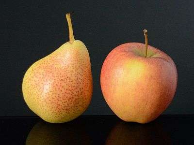 Vergleich - Äpfel mit Birnen